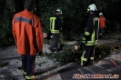 27.08.2016 Einsatz Baumsperre
