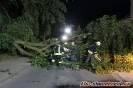 27.08.2016 Einsatz Baumsperre