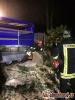 Baumfällung Elmenhorst 20.11.2019_14