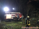 Baumfällung Elmenhorst 20.11.2019_2