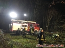 Baumfällung Elmenhorst 20.11.2019_4