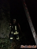 Baumfällung Elmenhorst 20.11.2019_7
