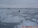 Eisrettung 16.01.2016