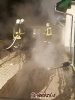 Fahrzeugbrand Abtshagen 11.03.2017